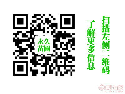 苗圃喬木與桂花系列產品庫——向文榮個體經營苗木基地概述